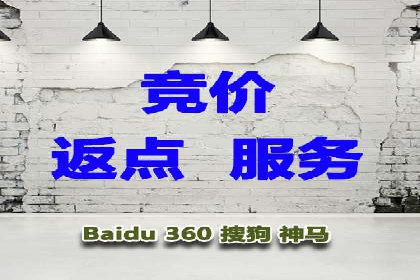 案例研究：竞价广告助力电商行业增长